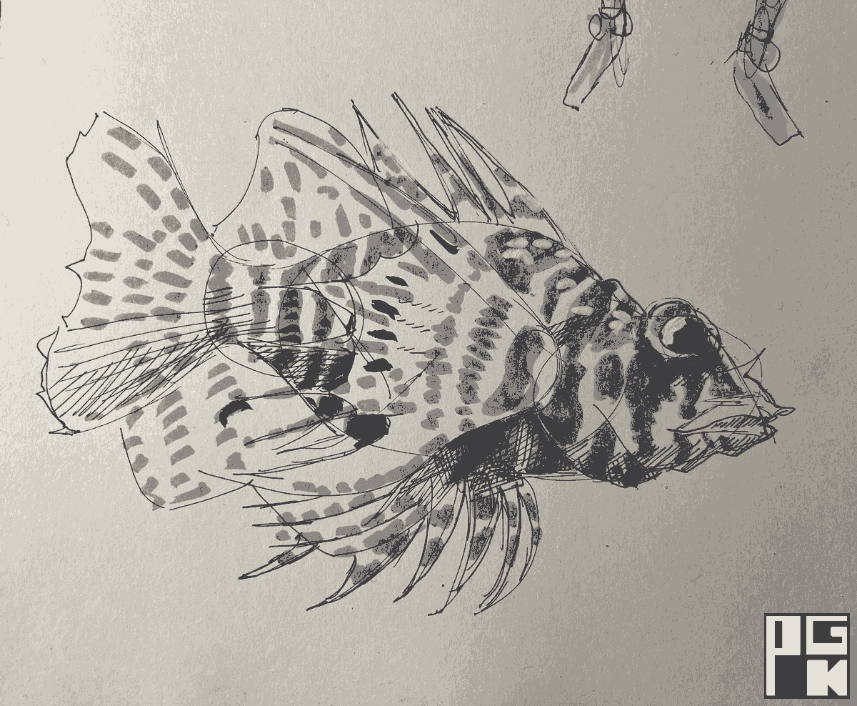 Referenced Image