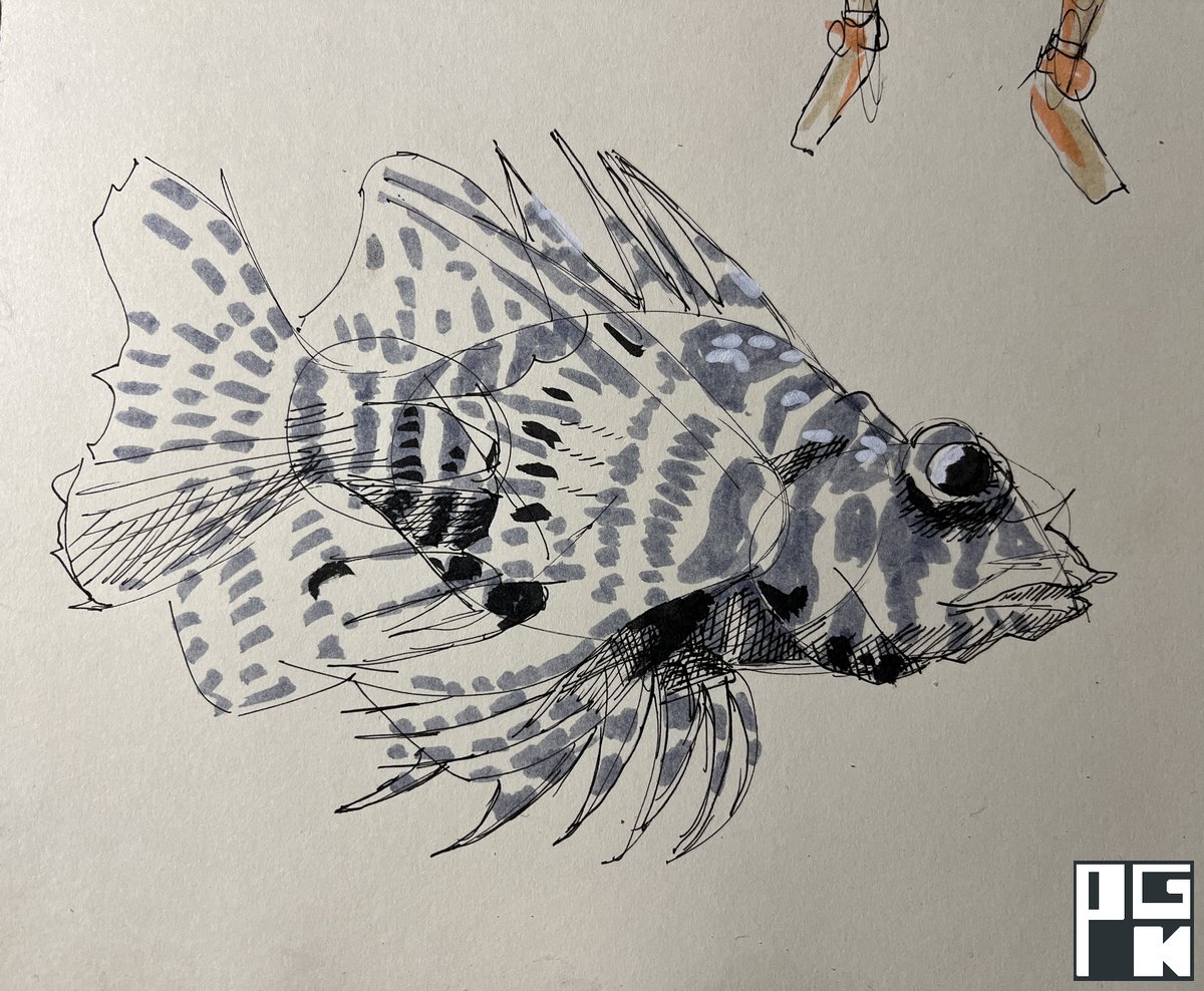 Referenced Image